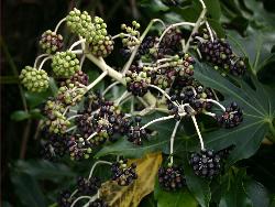 Image: Trevor James © Trevor James 